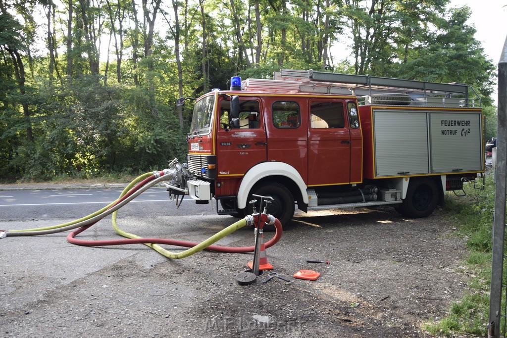 Waldbrand Koeln Hoehenhaus Hoehenfelder Mauspfad P201.JPG - Miklos Laubert